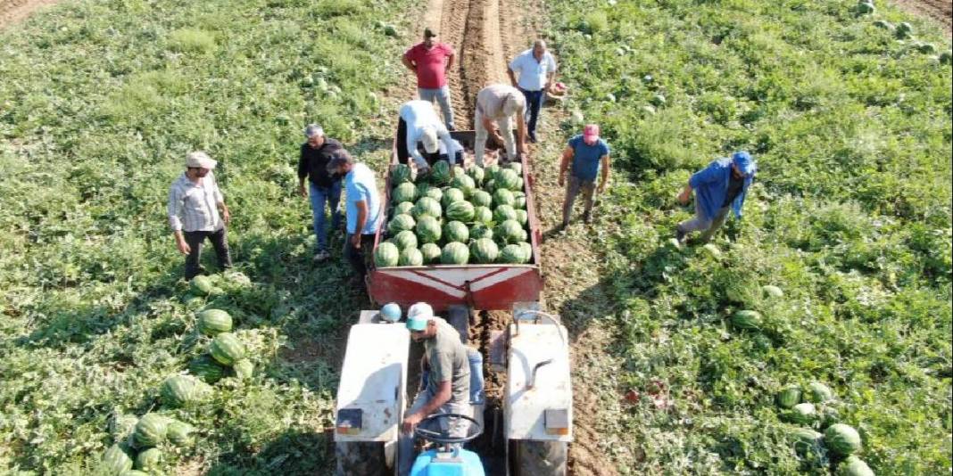 Türkiye’nin dört bir yanından akın ediyor, almak için saatlerce bekliyorlar! Üretici mutlu: Haftada 25 ton satıyorlar 3